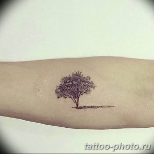 Фото рисунка тату дерево 07.11.2018 №122 - photo tattoo tree - tattoo-photo.ru