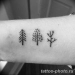 Фото рисунка тату дерево 07.11.2018 №124 - photo tattoo tree - tattoo-photo.ru
