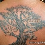 Фото рисунка тату дерево 07.11.2018 №133 - photo tattoo tree - tattoo-photo.ru