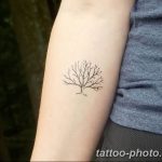 Фото рисунка тату дерево 07.11.2018 №170 - photo tattoo tree - tattoo-photo.ru
