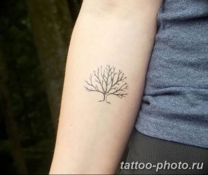 Фото рисунка тату дерево 07.11.2018 №170 - photo tattoo tree - tattoo-photo.ru