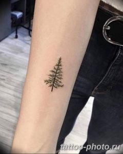 Фото рисунка тату дерево 07.11.2018 №171 - photo tattoo tree - tattoo-photo.ru