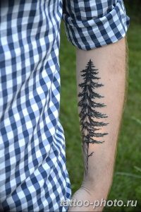 Фото рисунка тату дерево 07.11.2018 №179 - photo tattoo tree - tattoo-photo.ru