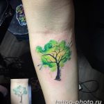 Фото рисунка тату дерево 07.11.2018 №180 - photo tattoo tree - tattoo-photo.ru