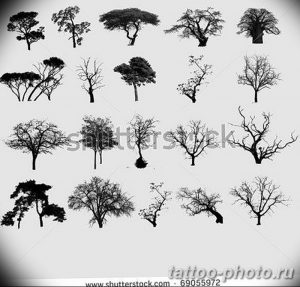 Фото рисунка тату дерево 07.11.2018 №192 - photo tattoo tree - tattoo-photo.ru