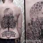Фото рисунка тату дерево 07.11.2018 №193 - photo tattoo tree - tattoo-photo.ru