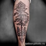 Фото рисунка тату дерево 07.11.2018 №209 - photo tattoo tree - tattoo-photo.ru