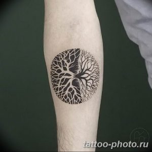 Фото рисунка тату дерево 07.11.2018 №211 - photo tattoo tree - tattoo-photo.ru