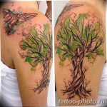 Фото рисунка тату дерево 07.11.2018 №218 - photo tattoo tree - tattoo-photo.ru
