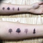 Фото рисунка тату дерево 07.11.2018 №221 - photo tattoo tree - tattoo-photo.ru