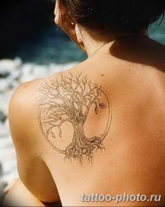 Фото рисунка тату дерево 07.11.2018 №230 - photo tattoo tree - tattoo-photo.ru
