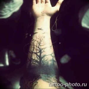 Фото рисунка тату дерево 07.11.2018 №231 - photo tattoo tree - tattoo-photo.ru