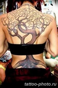 Фото рисунка тату дерево 07.11.2018 №232 - photo tattoo tree - tattoo-photo.ru