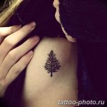 Фото рисунка тату дерево 07.11.2018 №250 - photo tattoo tree - tattoo-photo.ru