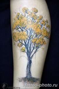 Фото рисунка тату дерево 07.11.2018 №252 - photo tattoo tree - tattoo-photo.ru