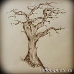 Фото рисунка тату дерево 07.11.2018 №256 - photo tattoo tree - tattoo-photo.ru