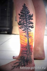 Фото рисунка тату дерево 07.11.2018 №260 - photo tattoo tree - tattoo-photo.ru