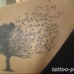 Фото рисунка тату дерево 07.11.2018 №264 - photo tattoo tree - tattoo-photo.ru