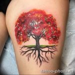 Фото рисунка тату дерево 07.11.2018 №278 - photo tattoo tree - tattoo-photo.ru