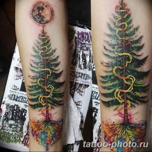 Фото рисунка тату дерево 07.11.2018 №282 - photo tattoo tree - tattoo-photo.ru
