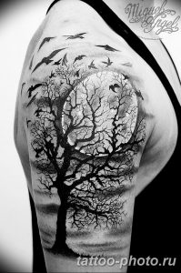Фото рисунка тату дерево 07.11.2018 №293 - photo tattoo tree - tattoo-photo.ru