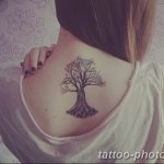 Фото рисунка тату дерево 07.11.2018 №294 - photo tattoo tree - tattoo-photo.ru