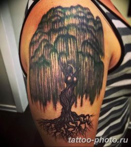 Фото рисунка тату дерево 07.11.2018 №310 - photo tattoo tree - tattoo-photo.ru