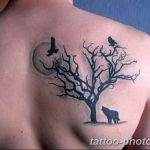 Фото рисунка тату дерево 07.11.2018 №311 - photo tattoo tree - tattoo-photo.ru