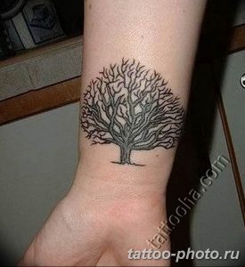 Фото рисунка тату дерево 07.11.2018 №316 - photo tattoo tree - tattoo-photo.ru