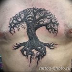 Фото рисунка тату дерево 07.11.2018 №317 - photo tattoo tree - tattoo-photo.ru