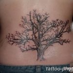 Фото рисунка тату дерево 07.11.2018 №322 - photo tattoo tree - tattoo-photo.ru