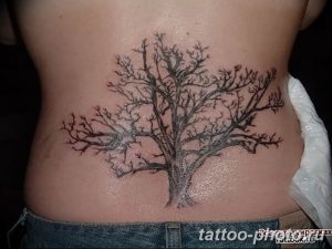 Фото рисунка тату дерево 07.11.2018 №322 - photo tattoo tree - tattoo-photo.ru