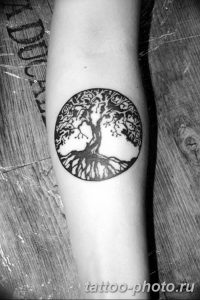 Фото рисунка тату дерево 07.11.2018 №335 - photo tattoo tree - tattoo-photo.ru