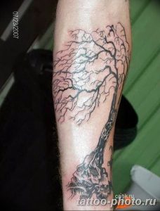 Фото рисунка тату дерево 07.11.2018 №338 - photo tattoo tree - tattoo-photo.ru