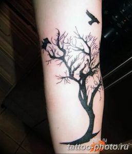 Фото рисунка тату дерево 07.11.2018 №342 - photo tattoo tree - tattoo-photo.ru