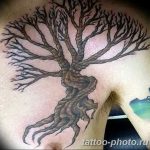 Фото рисунка тату дерево 07.11.2018 №350 - photo tattoo tree - tattoo-photo.ru