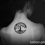 Фото рисунка тату дерево 07.11.2018 №351 - photo tattoo tree - tattoo-photo.ru