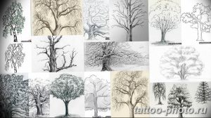 Фото рисунка тату дерево 07.11.2018 №353 - photo tattoo tree - tattoo-photo.ru