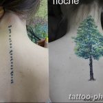 Фото рисунка тату дерево 07.11.2018 №355 - photo tattoo tree - tattoo-photo.ru