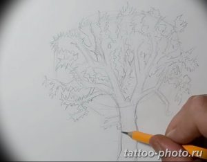 Фото рисунка тату дерево 07.11.2018 №357 - photo tattoo tree - tattoo-photo.ru