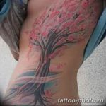 Фото рисунка тату дерево 07.11.2018 №361 - photo tattoo tree - tattoo-photo.ru