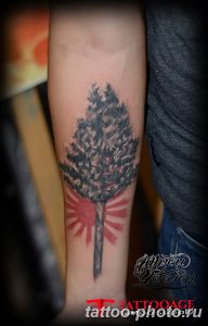 Фото рисунка тату дерево 07.11.2018 №367 - photo tattoo tree - tattoo-photo.ru