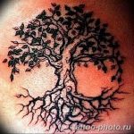 Фото рисунка тату дерево 07.11.2018 №369 - photo tattoo tree - tattoo-photo.ru