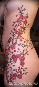 Фото рисунка тату дерево 07.11.2018 №370 - photo tattoo tree - tattoo-photo.ru