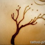 Фото рисунка тату дерево 07.11.2018 №373 - photo tattoo tree - tattoo-photo.ru