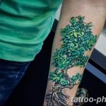 Фото рисунка тату дерево 07.11.2018 №379 - photo tattoo tree - tattoo-photo.ru