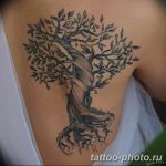 Фото рисунка тату дерево 07.11.2018 №381 - photo tattoo tree - tattoo-photo.ru