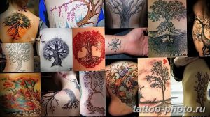 Фото рисунка тату дерево 07.11.2018 №383 - photo tattoo tree - tattoo-photo.ru