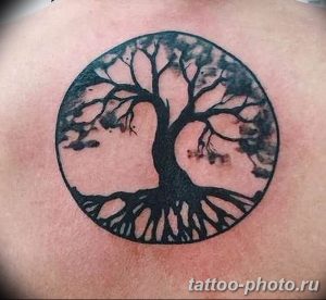 opera01.10.2015 , 22:40:30#treetattoo  Ôîòî è âèäåî íà Instagram  Opera