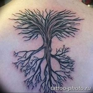 Фото рисунка тату дерево 07.11.2018 №410 - photo tattoo tree - tattoo-photo.ru